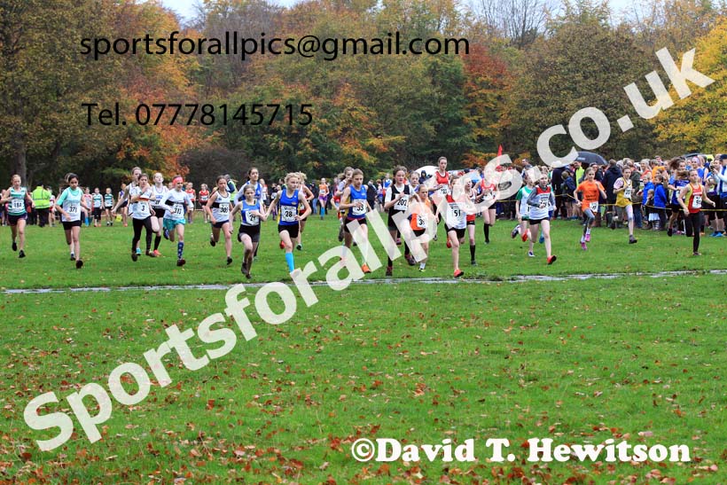 Girls under-13s, Start Fitness NEHL, Lambton Castle, Durham.  Photo: David T. Hewitson/Sports for All Pics